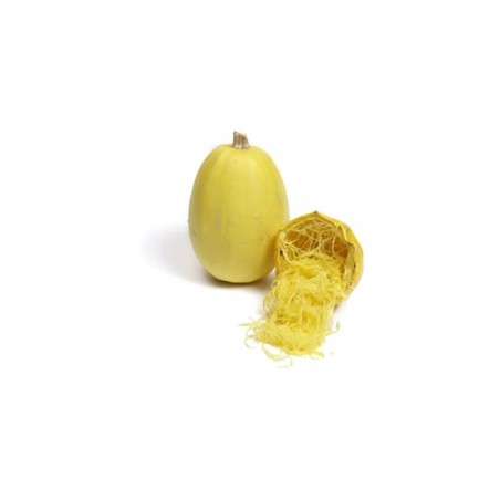 Courge spaghetti (pièce 1kg) 3€ Pont-l'Abbé France