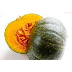 Kabocha (kg) 3€ Pont l'Abbé