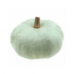 Bleu de Hongrie (kg)
