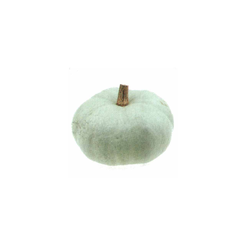 Bleu de Hongrie (kg)