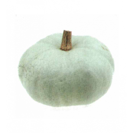 Bleu de Hongrie (kg)