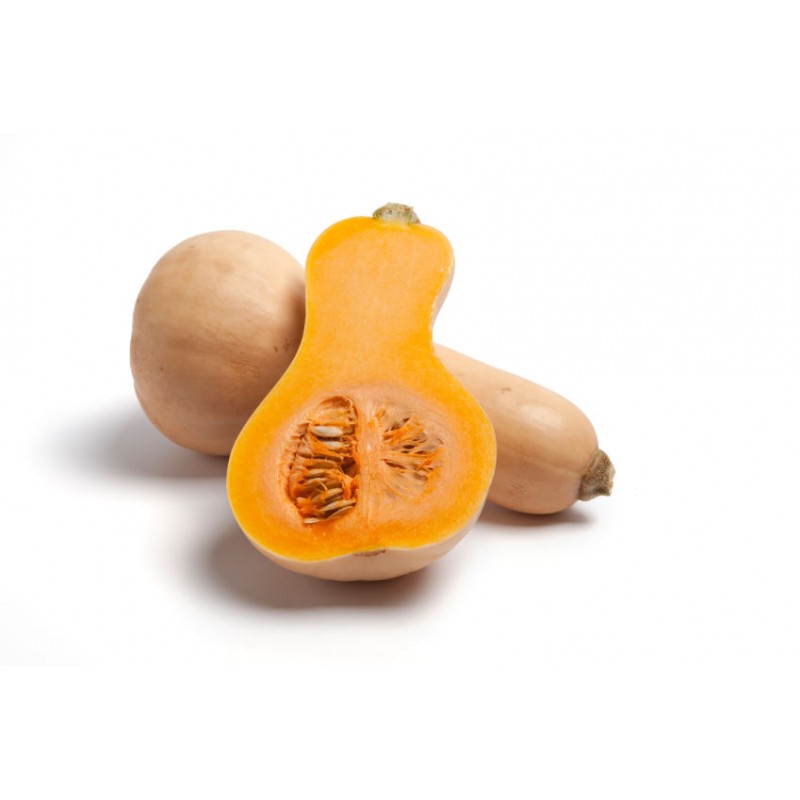 Butternut (pièce) 3 € Pont-l'Abbé France