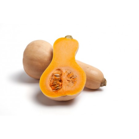 Butternut (pièce) 3 € Pont-l'Abbé France