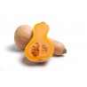 Butternut (pièce) 3 € Pont-l'Abbé France
