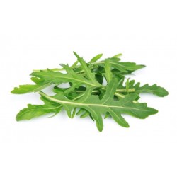 Roquette cultivée(100g) 12 € kg Pont-l'Abbé