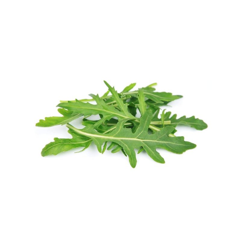 Roquette cultivée(100g) 12 € kg Pont-l'Abbé