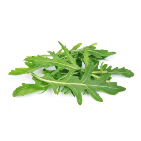 Roquette cultivée(100g) 12 € kg Pont-l'Abbé