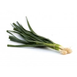 Poireaux (botte)