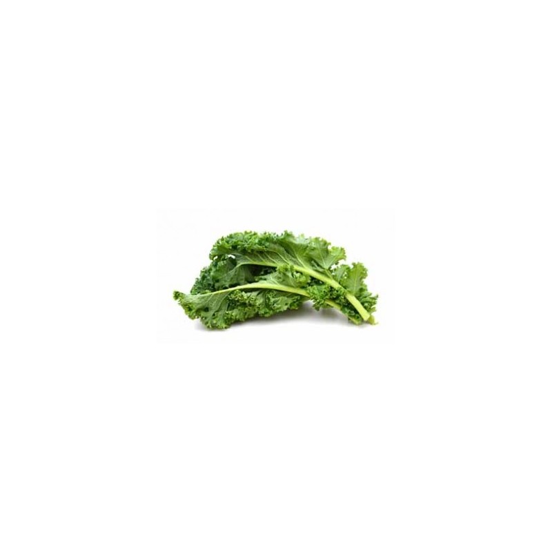 Chou kale vert (botte)