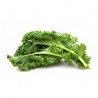 Chou kale vert (botte)
