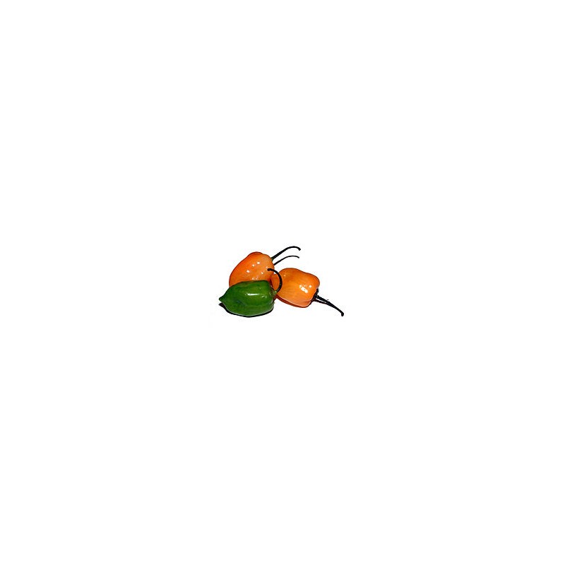 Piment rond (100g)