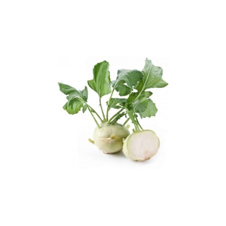 Chou rave (500g) 4 €/kg Pont-l'Abbé