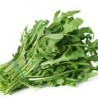 Roquette cultivée(100g) 12 € kg Pont-l'Abbé