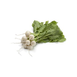 Navet blanc (botte)