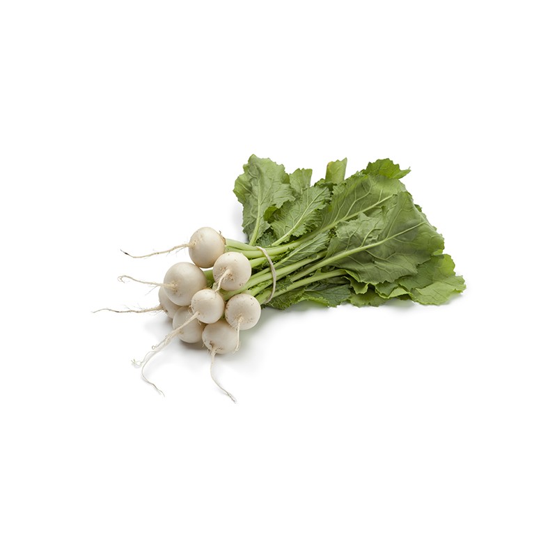 Navet blanc (botte)