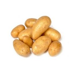 PDT nouvelle Alix (500g) 6 €/kg Pont l'Abbé