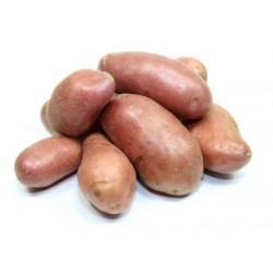 PDT Yona (500 g) 2.5€/kg