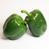 Poivron vert (250g)6€ /kg
