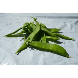 Pois mange tout (100 g) 12€/kg