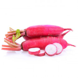 Radis japonais (500g) 4€/kg
