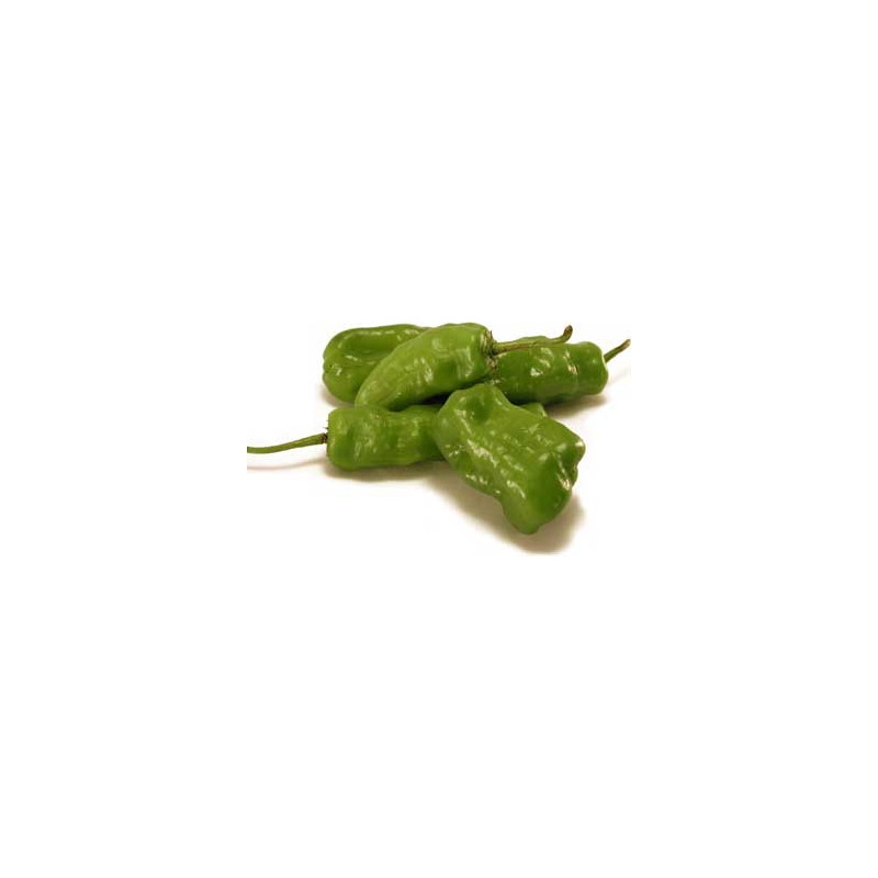 Piment vert (100g) 15€/kg France (Pont l'Abbé)