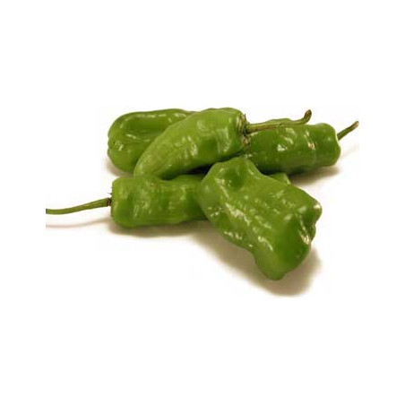 Piment vert (100g) 15€/kg France (Pont l'Abbé)