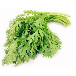 Chrysanthème comestible...