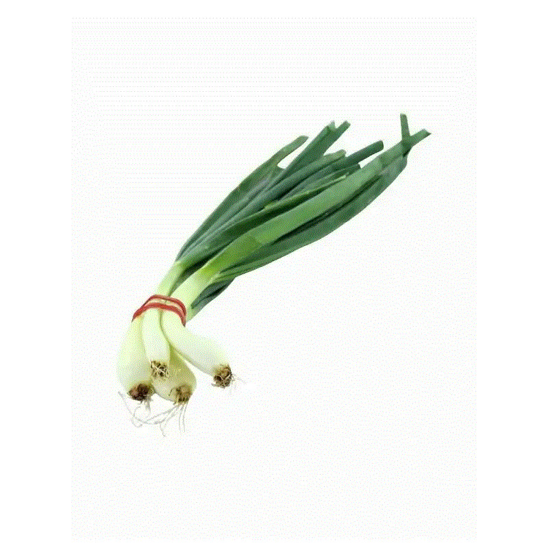 Oignon nouveau (botte)