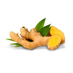 Gingembre (100 g) 15 €/Kg Pont L'Abbé-France