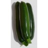 Courgette verte (500g) 3€/kg