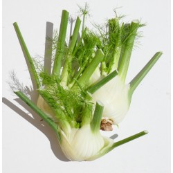Fenouil (500g) 4 € le kg Pont-l'Abbé