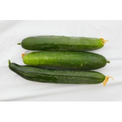 Concombre pièce