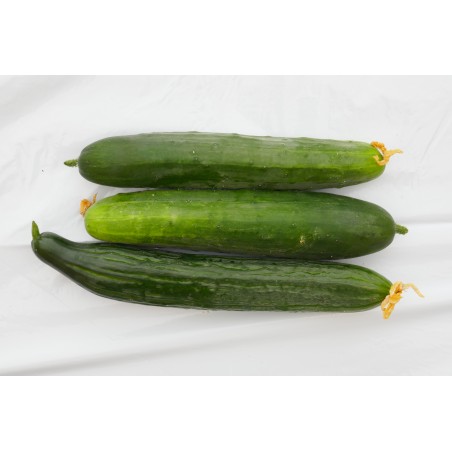 Concombre pièce
