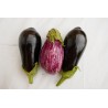 Aubergine (500) 4.5€/kg Pont l'Abbé
