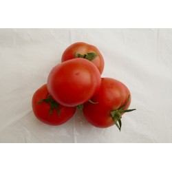 Tomate ronde (500g) 4,3 €/kg