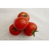Tomate ronde (500g) 4,5 €/kg