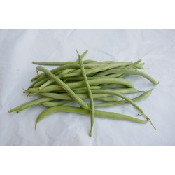 Haricot vert (250g) 10 €/kg Pont l'abbé