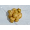 Pomme de terre  Allians (500g) 2.5 € kg
