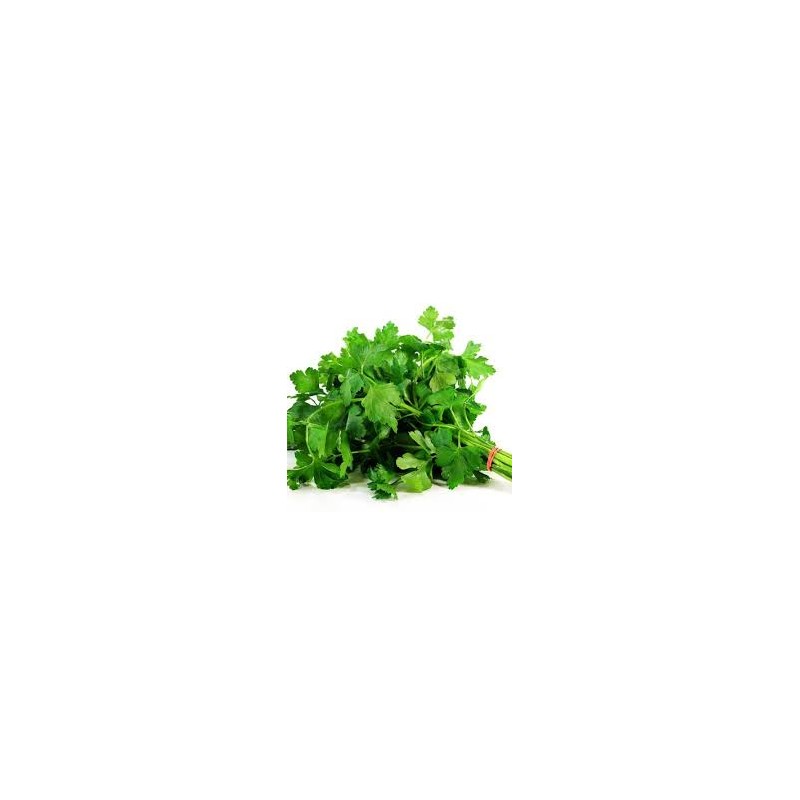 Persil (botte)