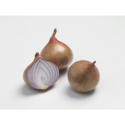 Oignon rose (500 g) 4 € kg Pont-l'Abbé