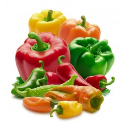 Poivron couleur (500g) 6 €/kg